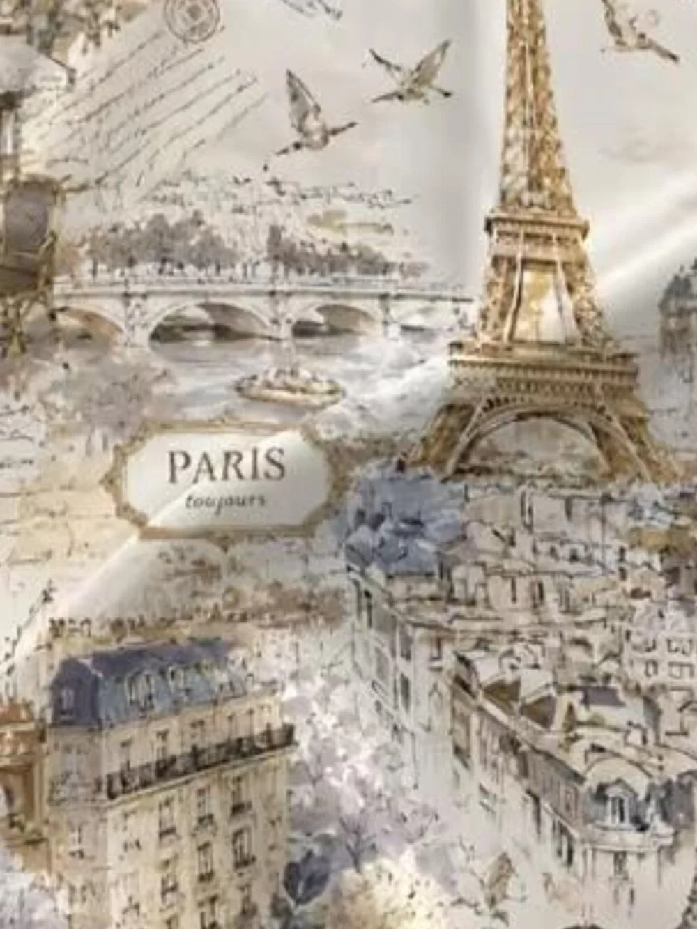 CITY OF PARIS SCARF